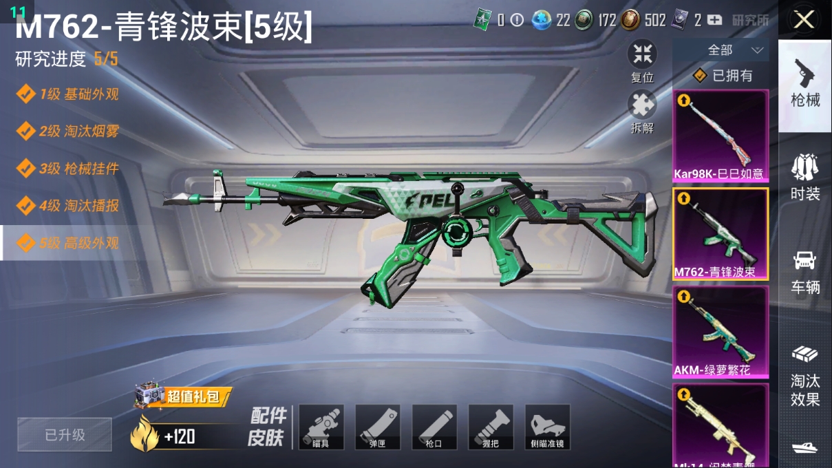1783228-2王牌印记-1粉装-4特效枪-114枪皮-87套装-0载具  【1粉装】 闲梦青缨 【4特效枪】 M762-青锋波束 Kar98K-巳巳如意 Mk14-闲梦青缨 AKM-绿萝繁花 【